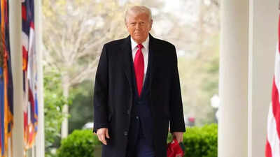 1768643110 donald trump ap image.jpg