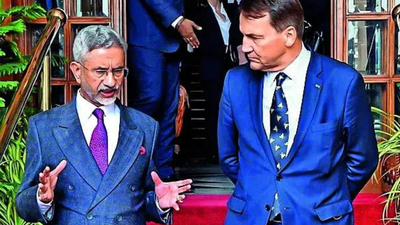 1768859487 unnamed file.jpg