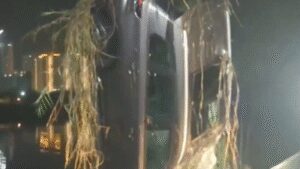 1768917058 unnamed file.jpg