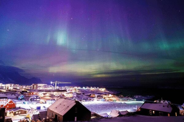 1769015566 photo.jpg