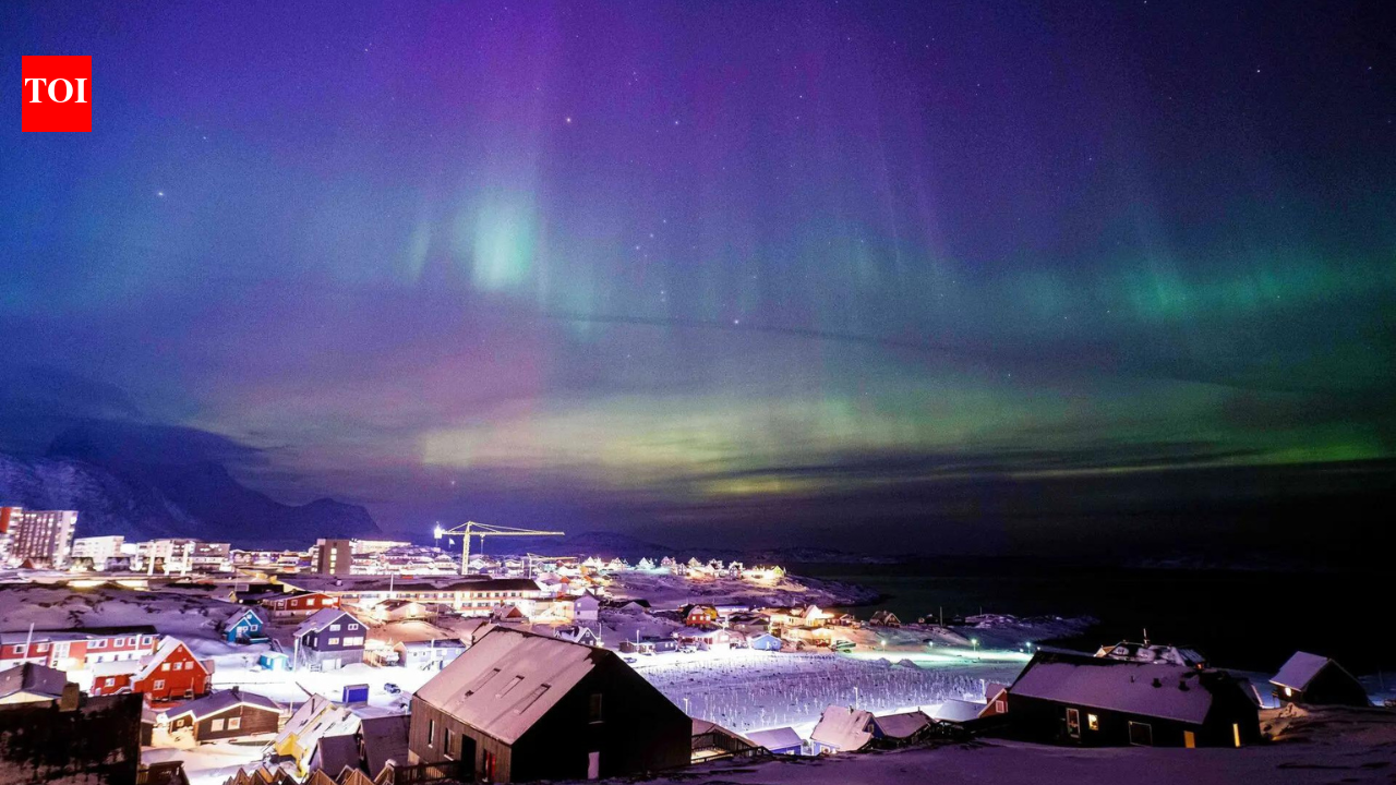 1769015566 photo.jpg