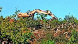 1769033954 representative image.jpg