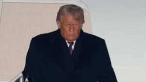 1769290537 unnamed file.jpg