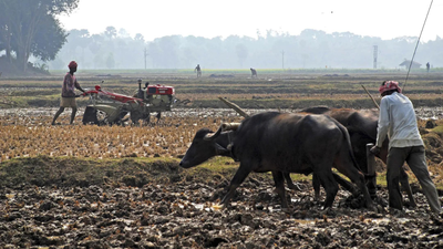 1769861477 pti file photo.jpg