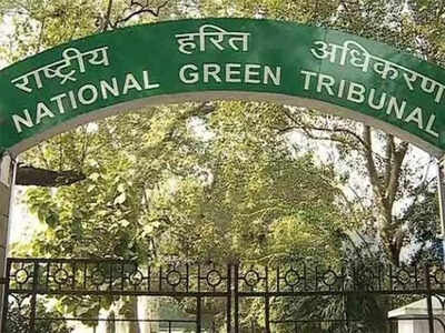 Agra national green tribunal issues notice on alleged illegal tree felling and construction near taj.jpeg