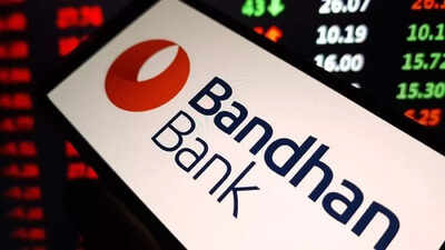 Bandhan bank.jpg