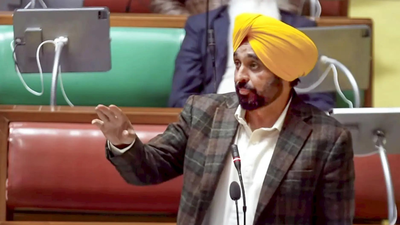 Bhagwant mann.jpg