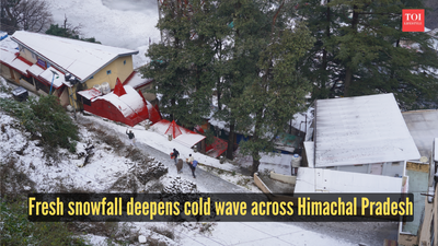 Fresh snowfall deepens cold wave across himachal pradesh.jpg