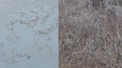 Frost on windshields fog at dawn as gurgaon sees seasons coldest morning.jpg