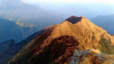 In a 1st in 4 decades peaks in garhwal himalayas remain snowless in jan affect growth of medicinal p.jpeg