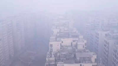 In response to the worsening air quality the commission for air quality management caqm reinstated s.jpeg