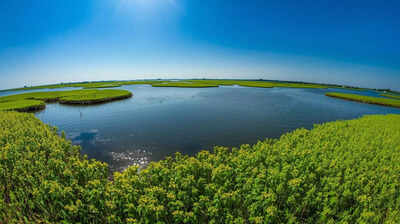 India has the world39s only floating national park know its location.jpg