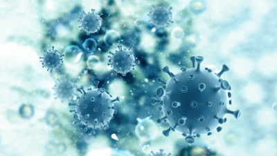 Karnataka man dies of kyasanur forest disease monkey fever doctor details symptoms and high risk sea.png