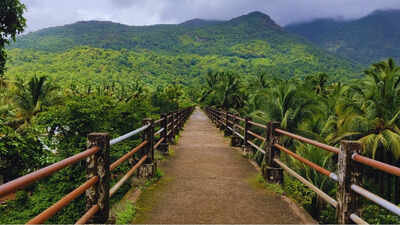 Keri foot bridge in north goa.jpg