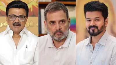 L to r mk stalin rahul gandhi vijay.jpg