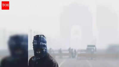 New delhi is experiencing an intense cold spell with temperatures plummeting to near freezing file p.jpeg