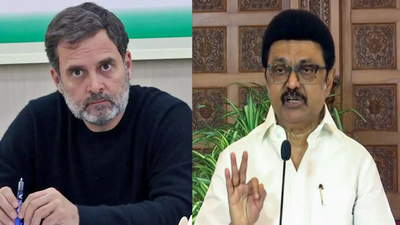 Rahul gandhi left mk stalin file.jpg