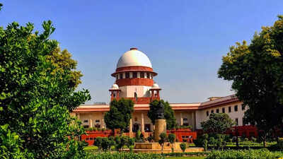 Supreme court delhi education act.jpg