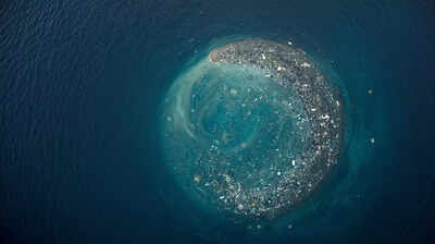 The great pacific garbage patch is becoming home to some aquatic species.jpg