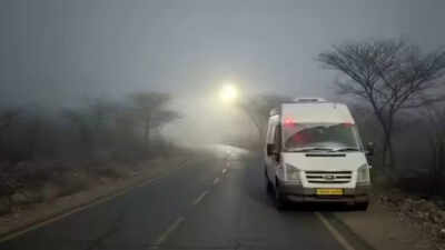 The woman has two children a four year old son and a seven year old daughter who are currently with.jpeg