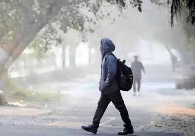 Up school timings revised in gautam buddh nagar due to dense fog check official notice here.jpg