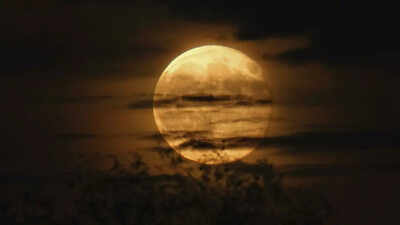 What happens if the moon disappears.jpg