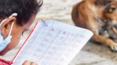 Who guards the school gate the stray dog row that put teachers on the hook here39s why they39re push.jpeg