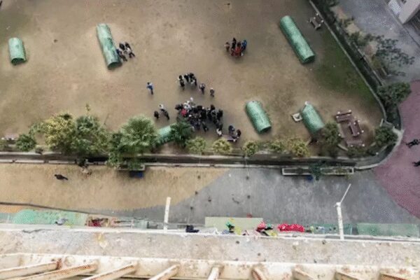 1770198811 photo.jpg