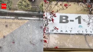 1770214220 photo.jpg