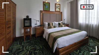 1770449472 representative image.jpg