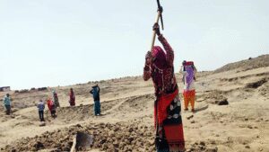 1770496712 unnamed file.jpg