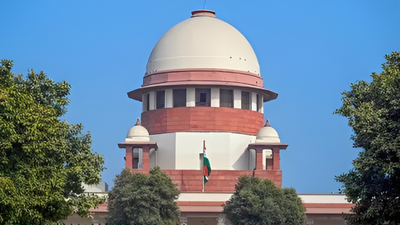 1770670720 unnamed file.jpg