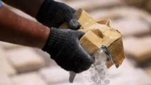 1771010945 unnamed file.jpg