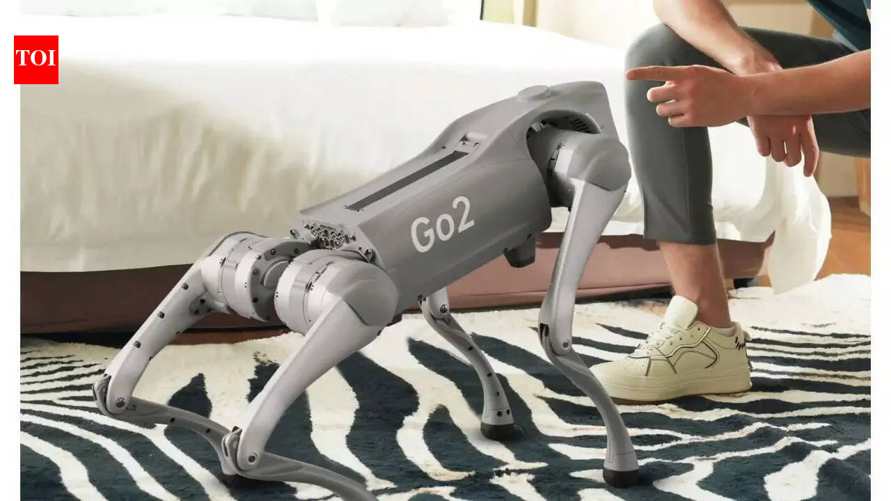 1771402484 photo.jpg