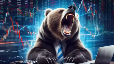 1771513905 unnamed file.jpg