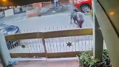 Bengaluru woman forced to get 80 plus stitches after pet dog mauls her.jpg