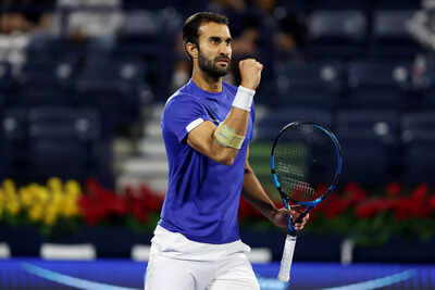 Dubai duty free tennis championships day fourteen.jpg