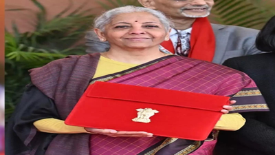 Finance minister.jpg