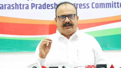 Harshvardhan sapkal.jpg