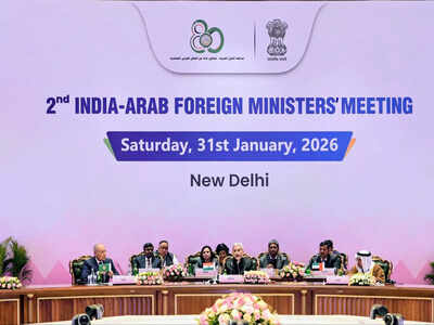 India arab league adopt 39new delhi declaration39 vows zero tolerance toward terrorism push for unsc.jpeg