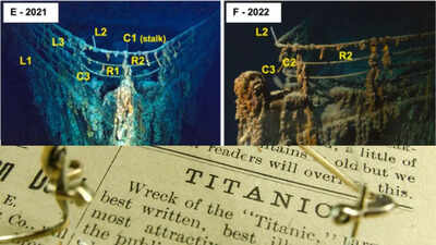 Marine life recorded 3800 metres deep on titanic in the north atlantic image source science direct.jpeg