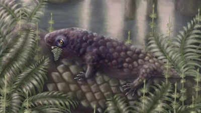 Meet tyrannoroter heberti this 307 million year old creature may have been earths first plant eating.jpeg