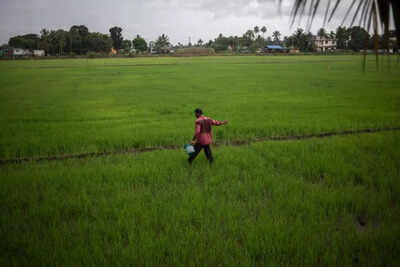Monsoon season in india.jpg