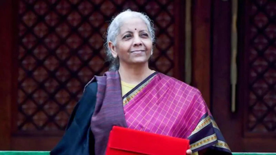 Nirmala sitharaman ani.jpg