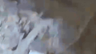 Screengrab from video shared by tolonews on x.jpg