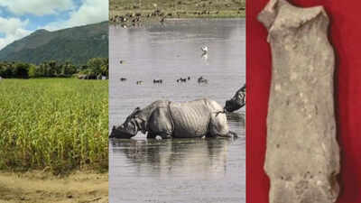 The discovery scientists say quietly but decisively rewrites the known historical range of one of in.jpeg