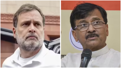 Untitled design 2026 02 02t175538.jpg