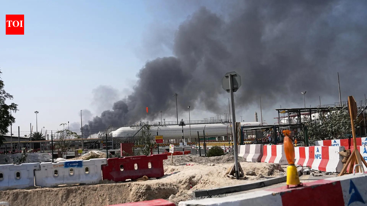 1772356259 photo.jpg