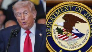 1772853165 unnamed file.jpg