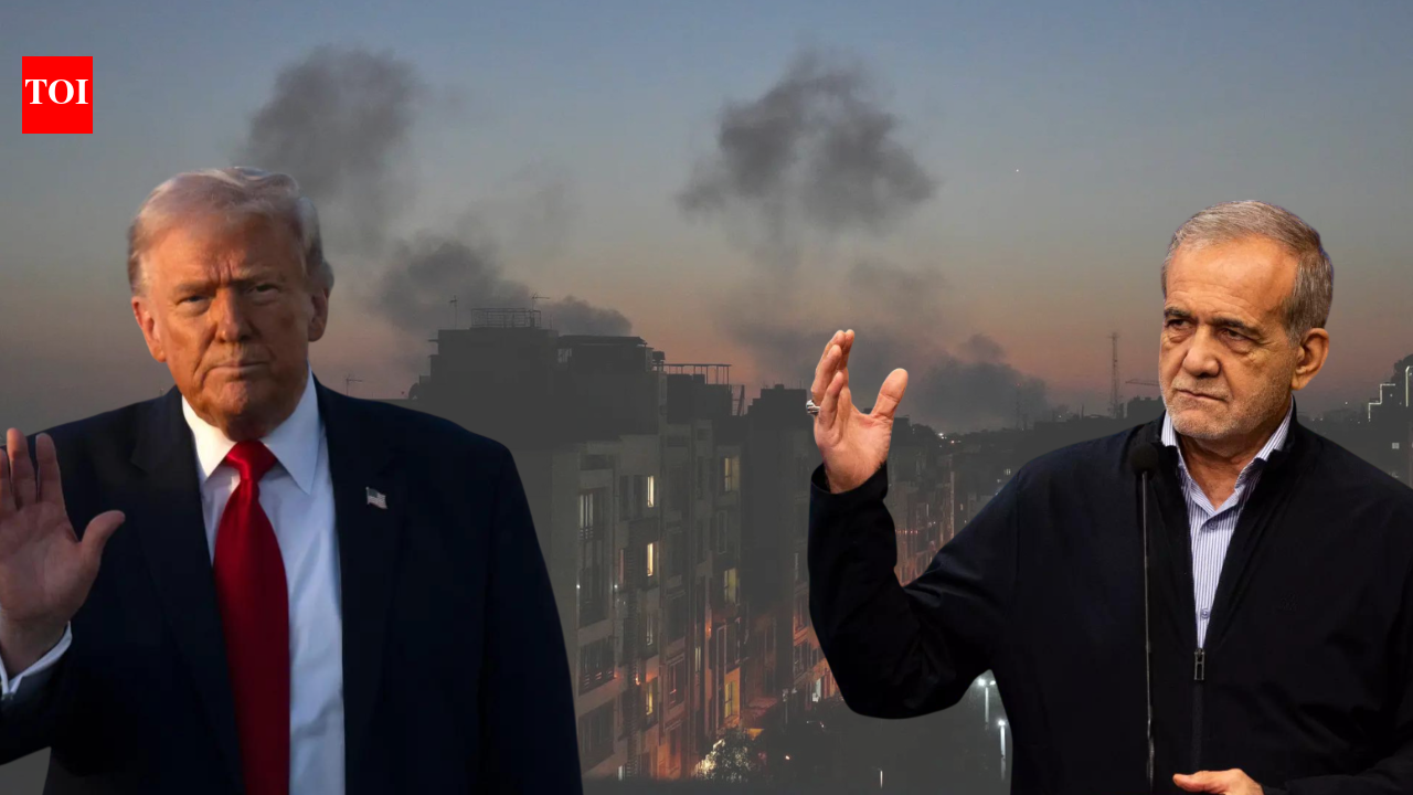 1772941246 photo.jpg